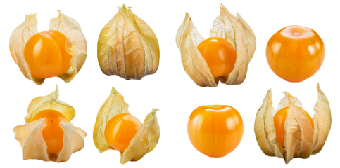 Physalis or golden berries with husk isolated on transparent background