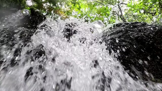 cascada en selva tropical, manantial de aguas cristalinas