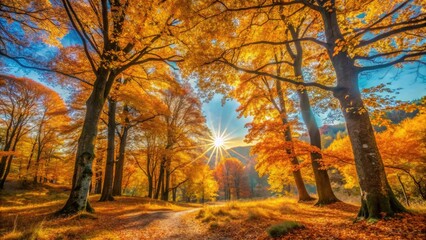 Obraz premium Vibrant autumn foliage blankets a tranquil forest landscape, with golden light filtering through trees, highlighting crunchy leaves and rustic fallen branches beneath a clear blue sky.
