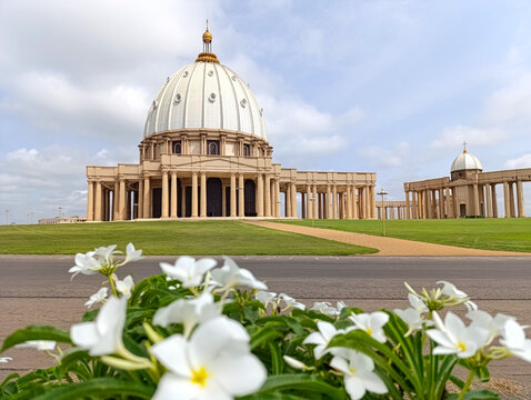 Bouquet of white flowers with the green Basilica of Our Lady of Peace of Yamoussoukro in the background, Ivory Coast