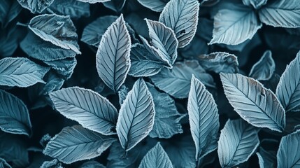 Close-up view of lush green leaves with intricate textures in natural light during a tranquil afternoon
