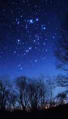 Naklejka premium Astrological photography of golden star zodiac amidst a sky rich with constellations