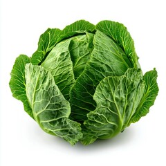 A Single Green Cabbage Isolated on White Background