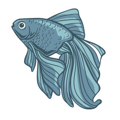 Pompon gold fish vector illustration