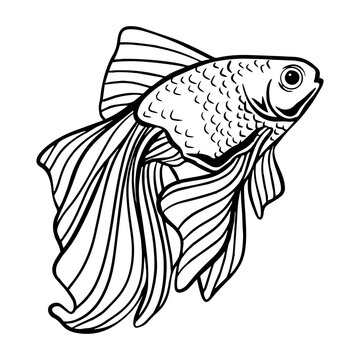 black and white goldfish swimming clip art preview