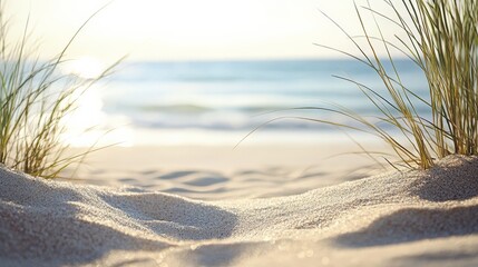 Soft sand dunes with wild grasses overlooking a serene ocean view at sunrise, offering a peaceful and tranquil beach scene.