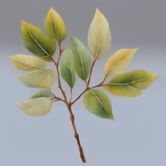 Fototapeta premium leaves on a branch