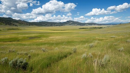 Obraz premium Lush green meadow with rolling hills and blue sky.