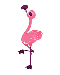 tropical flemish bird animal