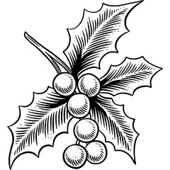 Hand drawn Mistletoe Holly Leaves Christmas Decor Sketch Illustration Engraving Woodcut Vintage Style