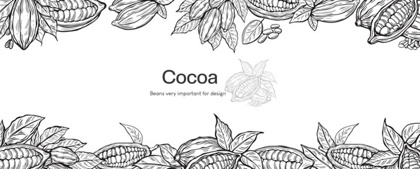 Cocoa design template vector illustration. Line art  vintage sketches of cacao beans, nuts and plants, organic cocoa,