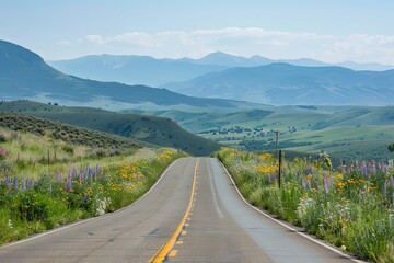 Winding Road Through Wildflowers and Mountain Ranges