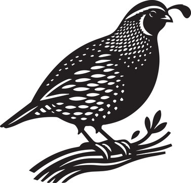 recommend clip art: quail bird black silhouette vector, silhouette vector art illustration