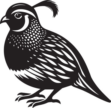 recommend clip art: quail bird black silhouette vector, silhouette vector art illustration