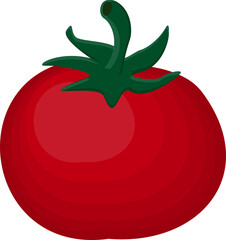 Vegetable red tomato