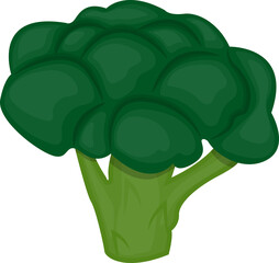 Vegetable green broccoli