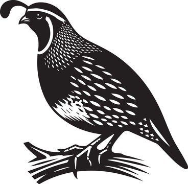 recommend clip art: quail bird black silhouette vector, silhouette vector art illustration