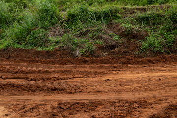 Side view of gravel road in forest with meadow