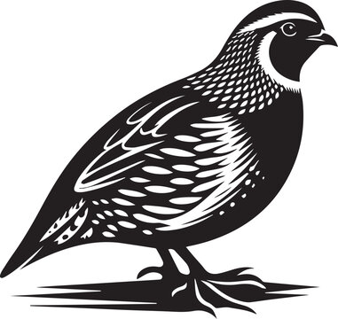 recommend clip art: quail bird black silhouette vector, silhouette vector art illustration