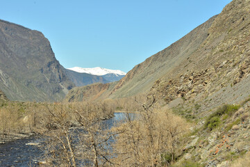A look from the top over the treetops to a wide stormy river squeezed into a mountain canyon on a sunny spring day.