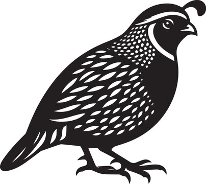 recommend clip art: quail bird black silhouette vector, silhouette vector art illustration