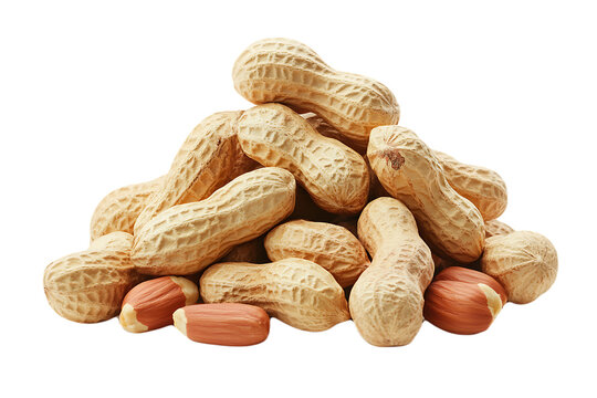 peanuts seeds isolated on transparent png