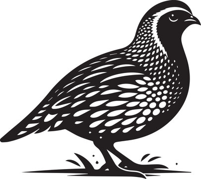 recommend clip art: quail bird black silhouette vector, silhouette vector art illustration
