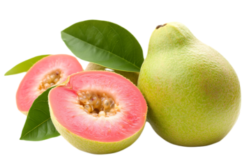 guava fruit isolated on transparent png