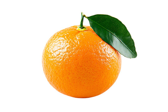 Tangerine or clementine isolated on transparent png