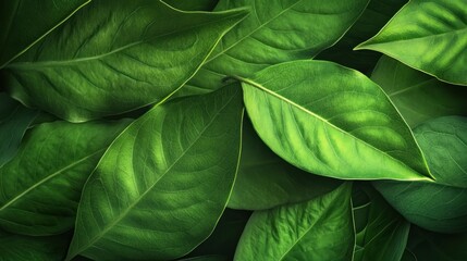 Vibrant Green Leaves Background