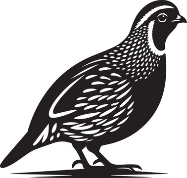 recommend clip art: quail bird black silhouette vector, silhouette vector art illustration