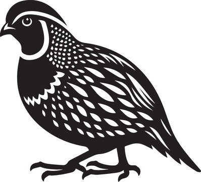 recommend clip art: quail bird black silhouette vector, silhouette vector art illustration