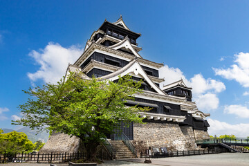 Obraz premium 完全復旧した熊本城天守閣