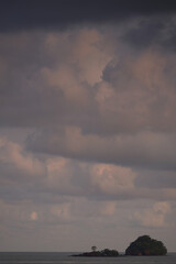 Small tropical island in tropical seascape showing plants growing from seeds carried by tides and wind