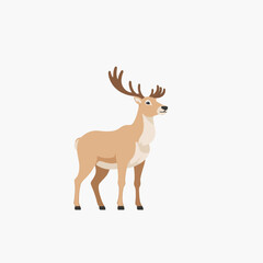 Deer Antlers Wildlife Forest Nature