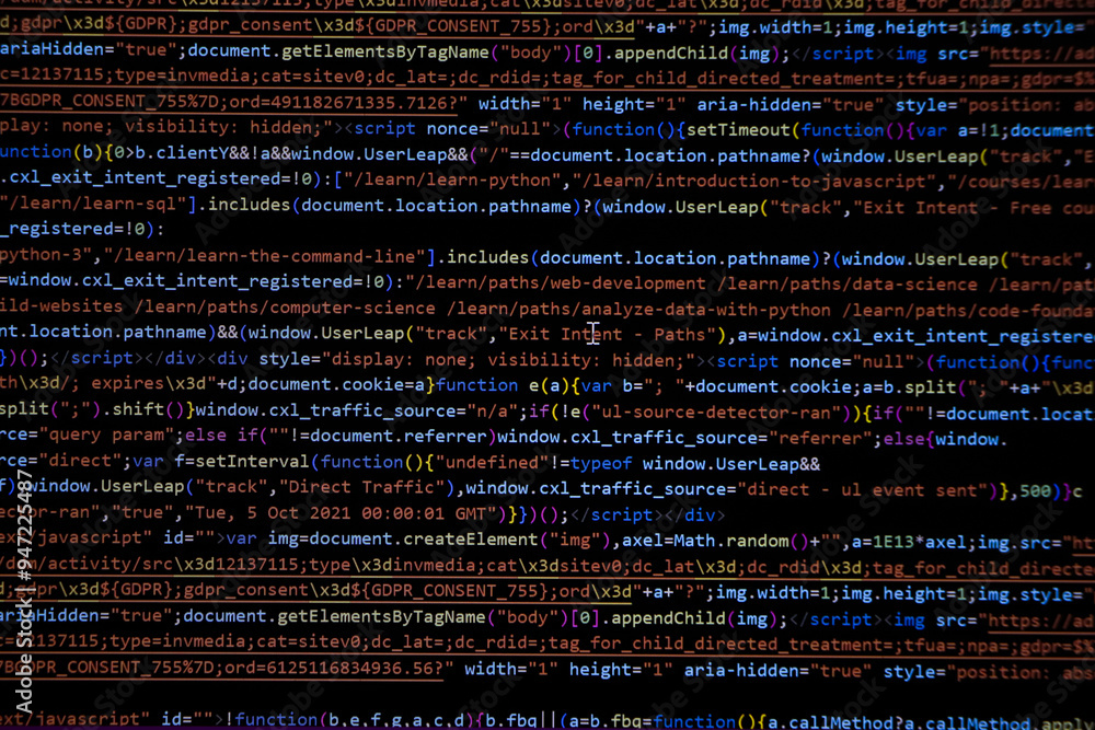 Fototapete programming coding screen, web developer coding screen
