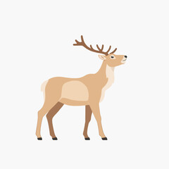 Fototapeta premium Deer Antlers Wildlife Forest Nature