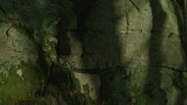 Stone Cave Rocks In Green Moss Covered Forest Landscape