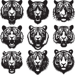 Tiger Design And vector Art