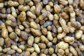 heap of fresh harvested peanuts background