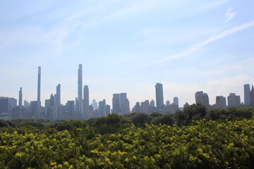 Obraz premium New York skyline
