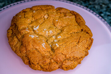 Sugar Cookies
