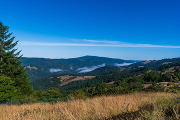 Northern California Mountain View with Fog