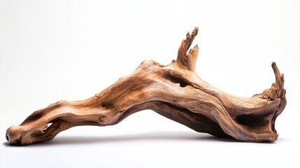 Fototapeta premium Photograph of driftwood for an aquarium on a white background,