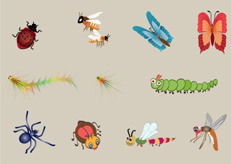 Set of the most common insects. Isolated vector illustration for different purposes.