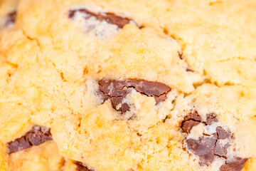 Salted Chocolate Chip Cookie