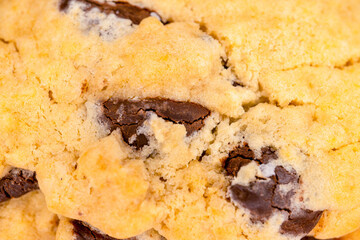 Salted Chocolate Chip Cookie