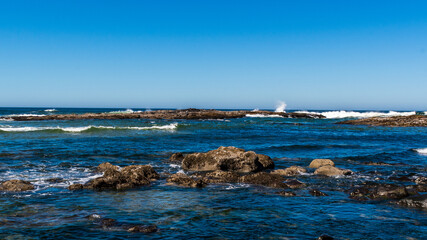 Beautiful Oregon Coast during Summer, Oregon, USA