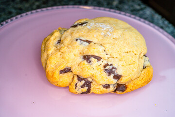 Salted Chocolate Chip Cookie