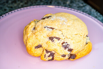 Salted Chocolate Chip Cookie